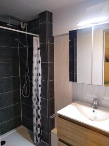 a bathroom with a shower and a sink and a mirror at Joy Lotus 105 in De Haan