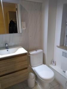 a bathroom with a white toilet and a sink at Joy Lotus 105 in De Haan