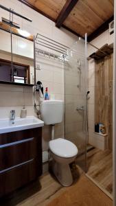ein Bad mit einem WC, einem Waschbecken und einer Dusche in der Unterkunft Vikendica Klara in Jablanica