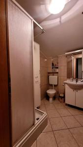 y baño con ducha, aseo y lavamanos. en Vikendica Klara, en Jablanica