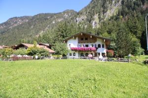ein Haus auf einem Feld vor einem Berg in der Unterkunft Vronis Waldhaus ADULTS ONLY in Mayrhofen