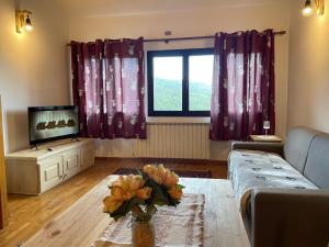 TV a/nebo společenská místnost v ubytování Residenza Riva Wellness Apartment Spa