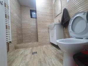 a bathroom with a toilet and a shower at Apartament Nicole in Curtea de Argeş
