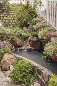 Villa Hoa Da外面的花园
