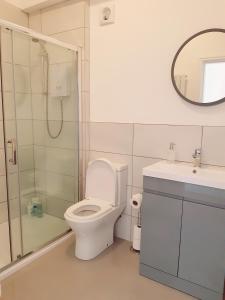 a bathroom with a toilet and a shower and a sink at No's 7 and 8 Llewelyn Apartments in Llanberis