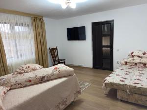 1 dormitorio con 2 camas y TV de pantalla plana en Pensiunea Casa Deny, en Novaci-Străini