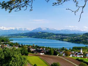 una ciudad con un lago y montañas en el fondo en Hotel Restaurant Eichberg en Seengen