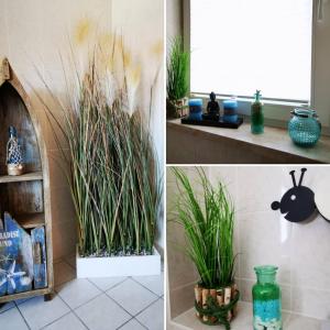 two pictures of plants in a bathroom and a window at Ferienwohnungen Am Rathaus und No11 in Havelberg