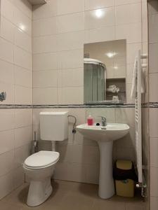 een badkamer met een toilet en een wastafel bij Pensiunea Central Sibiu in Sibiu
