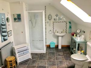 een badkamer met een douche, een wastafel en een toilet bij Ty Croeso in Ballymoney