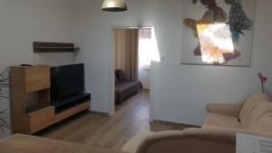 ein Wohnzimmer mit einem Sofa und einem Flachbild-TV in der Unterkunft Apartments Museum in Koper
