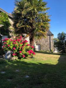 uma palmeira e flores em frente a uma casa em Magnifique longère du Cotentin em Heugueville-sur-Sienne