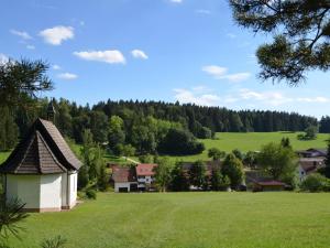 a green field with a house in the foreground at Ferienwohnung Rieth in Dürbheim