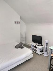 a bedroom with a bed and a flat screen tv at L'Eclair Studio 5 Face Gare Wifi in Évreux