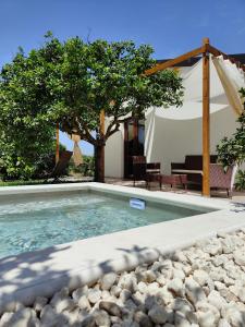 a swimming pool with a tree in the background at AgriBarocco in Noto