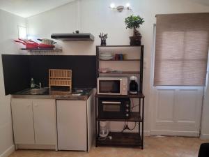 a kitchen with a counter with a microwave and a sink at Domaine de La Mayonnette in La Crau