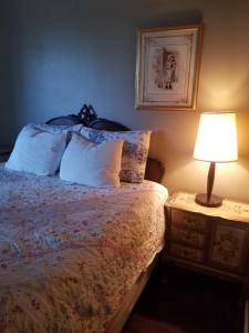 um quarto com uma cama e um candeeiro numa mesa de cabeceira em Adam Inn em Cataratas do Niágara