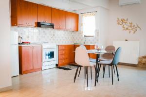 Kuchyň nebo kuchyňský kout v ubytování Aristos Apartments & Suites