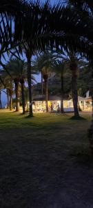 Ogród w obiekcie Panoramic Suite Beach