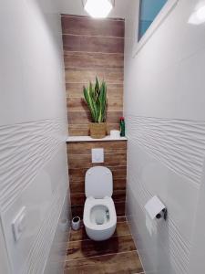łazienka z toaletą i rośliną na ścianie w obiekcie La Villa Castel - Haut de villa - parkings- 3 chambres - 8 couchages - jardin - barbecue w Cagnes-sur-Mer +13 zdjęć
