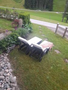 A garden outside Lilly Fein