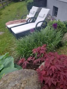 A garden outside Lilly Fein
