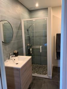a bathroom with a sink and a shower at La Villa des Rosiers in Cricquebœuf