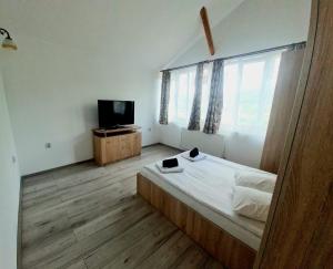 um quarto com uma cama e uma televisão em Casa Ostrov em Călimăneşti