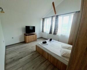 TV a/nebo společenská místnost v ubytování Casa Ostrov