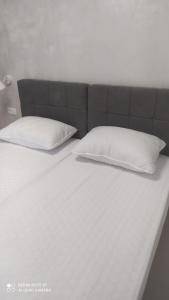 Zdjęcie z galerii obiektu Clover Apartman w mieście Zadar +20 zdjęć