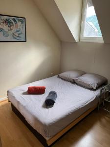 Schlafzimmer mit einem Bett mit einem roten Kissen und einem Fenster in der Unterkunft Appartement T3 à Argelès-Gazost, Htes-Pyrénées, à proximité de Cauterets et Gavarnie in Argelès-Gazost