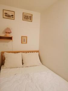 1 dormitorio con 1 cama blanca y 2 almohadas en Ferienwohnung Rosennock, en Patergassen
