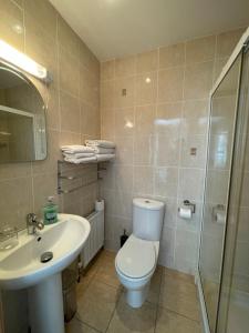 uma casa de banho com um WC, um lavatório e um chuveiro em Deerbrook House B&B em Cahir