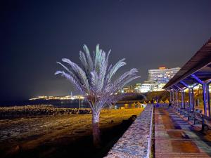 Fotografie z fotogalerie ubytování Las Flores studio 3 v destinaci Playa de las Americas + 20 fotografií