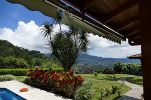 uma vista para um jardim com uma palmeira e flores em Bungalows Sanlaz em Jesus