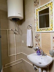 a bathroom with a sink and a mirror at Apartments Bulatovic in Žabljak