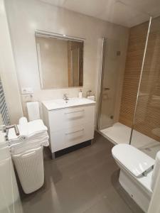 y baño con lavabo, ducha y aseo. en Apartamento Barrio Picasso, en Málaga