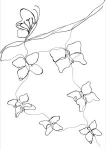 a black and white drawing of a branch with flowers at Apartman IM7 Međugorje in Međugorje