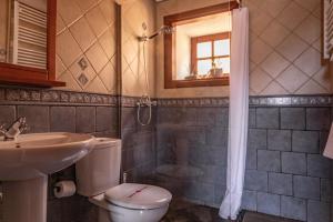 y baño con aseo, lavabo y ducha. en Casa Rural La Palizada, en Benchijigua