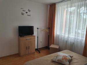 TV a/nebo společenská místnost v ubytování Apartament Cozy Orsova