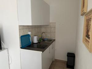 Kuchyň nebo kuchyňský kout v ubytování Apartments Villa Zdrava