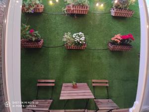 A garden outside Beach and Sun - Paseo Marítimo -Playa