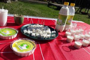 a picnic table with a plate of marshmallows and bottles of milk at Glempings Kaziņu ferma Līcīši in Ozolnieki