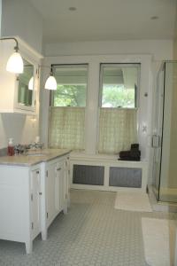 a bathroom with a shower and a sink and two windows at Franklin Manor in Saranac Lake