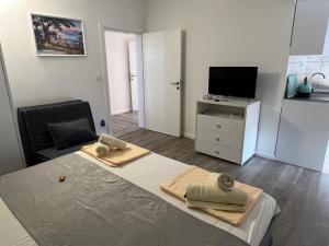 TV a/nebo společenská místnost v ubytování Apartments Villa Zdrava