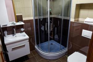 a bathroom with a shower with a sink and a toilet at The House of the Miyaks in Rostuša