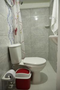 La salle de bains est pourvue de toilettes et d'un rideau de douche. dans l'établissement Hotel Gran Girones, à Girón