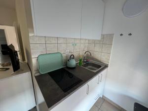 Kuchyň nebo kuchyňský kout v ubytování Apartments Villa Zdrava
