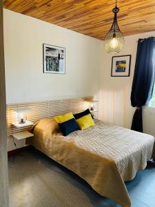 1 dormitorio con 1 cama grande con almohadas amarillas en Studio COSY avec parking et wifi gratuit, en Bagnoles de l'Orne