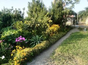 a garden with colorful flowers and a path at Roin Guest House in Grigoleti